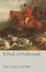A Pack of Foxhounds - Galway Viscount