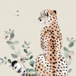 Karnet Swarovski kwadrat CL4709 Gepard - Clear Creations