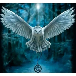 Mozaika diamentowa 5D - Sowa 40x30cm - Titanum