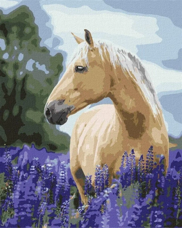 Malowanie po numerach - Spacer 40x50cm - Ideyka