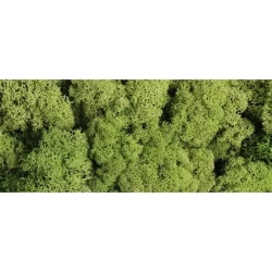 Ozdoba dekoracyjna Mech Chrobotek 125g zielony J.pbh