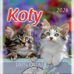 Kalendarz 2026 wieloplanszowy 33x33cm Koty - Artsezon