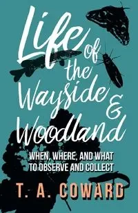 Life of the Wayside and Woodland - Coward T. A.