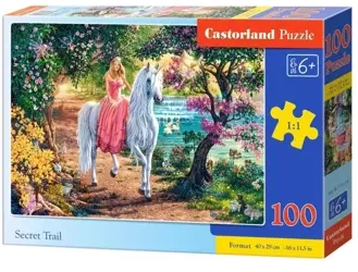 Puzzle 100 Secret Trail CASTOR - Castorland