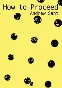 How to Proceed - Andrew Sant