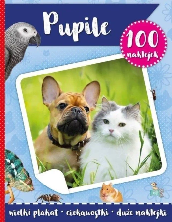 100 naklejek z plakatem. Pupile - praca zbiorowa