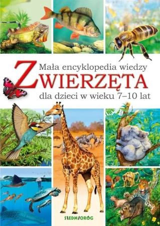 Mała encyklopedia wiedzy. Zwierzęta - Eryk Chilmon