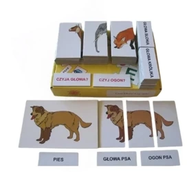 Zestaw dydaktyczny. Czyja głowa? Czyj ogon? - praca zbiorowa
