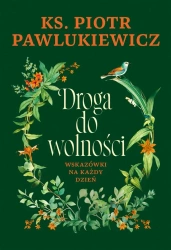 Droga do wolności. Wskazówki na każdy dzień - Piotr Pawlukiewicz