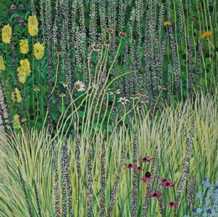 Karnet z kopertą Złocień krzewiasty - Susan Entwistle