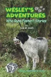 Wesley's Adventures - Dale Walsh