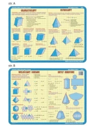 Podkładka edu. 029 - Graniastosłupy, ostrosłupy.. - Visual System