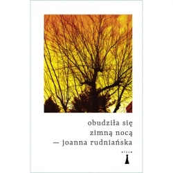 Obudziła się zimną nocą - Joanna Rudniańska