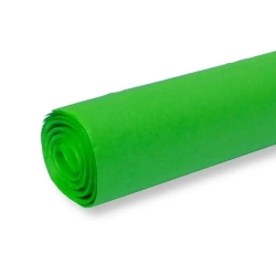 Bibuła kolorowa gładka zielona 50x70cm 30ar - Penword