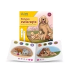 Czytaj z Albikiem Domowe Zwierzęta
