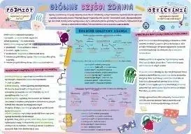 Podkładka na biurko - Części zdania - Henry