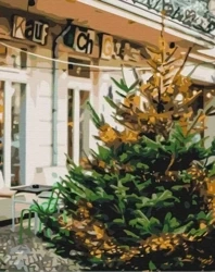 Malowanie po numerach - Przedświąteczna piękność - Twoje Hobby