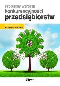 Problemy wzrostu konkurencyjności przedsiębiorstw - Zieliński Kazimierz