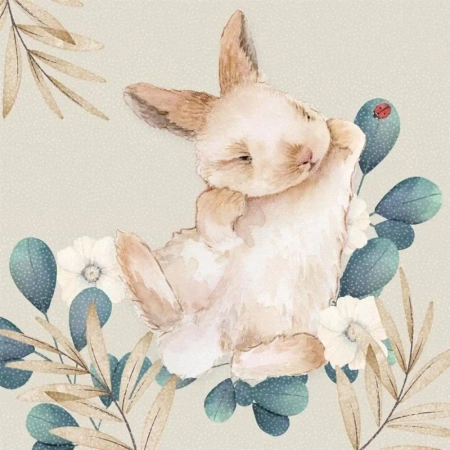 Karnet Swarovski kwadrat CL4708 Królik - Clear Creations