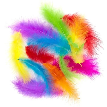 Pióra indycze 10-15cm 30szt - Dalprint