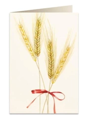 Karnet B6 + koperta 5717 Pszenica - Tassotti