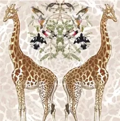 Karnet kwadrat z kopertą Giraffe - Museums & Galleries