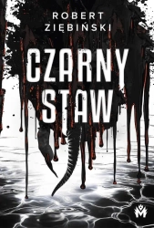 Czarny Staw - Robert Ziębiński