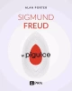 Sigmund Freud w pigułce - Alan Porter