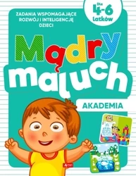 Mądry maluch. Akademia - Iwona Baturo