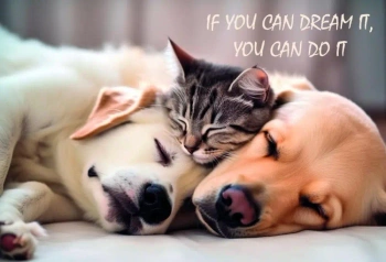 Mata mała dwustronna z nadrukiem frendship - Panta Plast