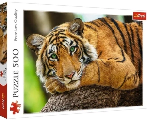 Puzzle 500 Portret tygrysa TREFL