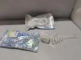 Szkielet ryby świecący w ciemności 20cm MIX - ADAR