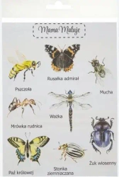 Naklejki duże Owady 1 - Mama Maluje