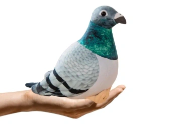 Gołąb grzywacz szary pluszowy 20cm - Leantoys