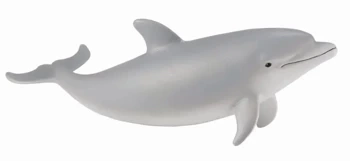 Delfin butlonosy młody - Collecta