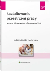 Kształtowanie przestrzeni pracy. Praca w biurze - Małgorzata Sidor-Rządkowska