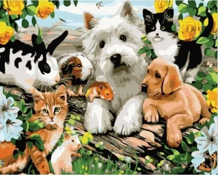 Malowanie po numerach - 30x40cm Zwierzęta - Titanum