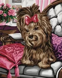 Malowanie po numerach - Yorkshire terrier 40x50cm - ArtiFly