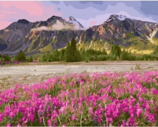 Malowanie po numerach - Kwiaty w pobliżu gór 40x50 - Twoje Hobby