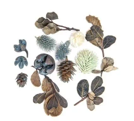 Suszone owoce i liście dekoracyjne 14szt - Dalprint dpCraft