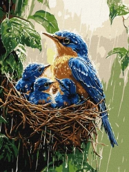 Malowanie po numerach - Wiosenny deszcz 30x40cm - Ideyka