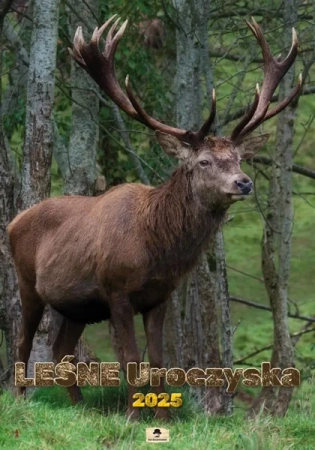 Kalendarz 2025 A2 ścienny Leśne Uroczyska - Pan Kalendarzyk