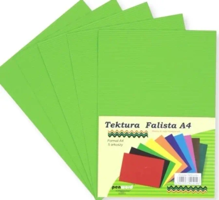 Tektura A4 falista zielone jabłuszko 5szt - Penword