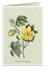 Karnet B6 + koperta 6058 Bawełna - Tassotti