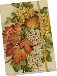 Notatnik ozdobny A5 STNOTE 127 Jesienne liście - Skona Ting