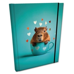 Notes B6 kratka z gumką Soft Touch Kapibara - EV-Corp