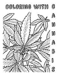Coloring with Cannabis - Broward CJ