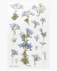 Naklejki ozdobne kwiaty - Floks - Appree