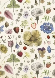 Karnet ST446 B6 + koperta Kwiaty lata - Skona Ting