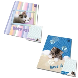 Notes A6/50K kratka poddruk zwierzaki Koty (10szt) - Bee-bee